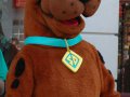 c_1239293414639_Scooby_Doo_0.jpg